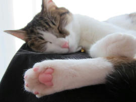 IMG03132.jpg