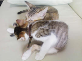 PAP_0364.jpg