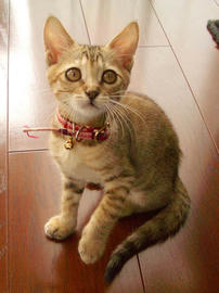 IMGP6203.jpg