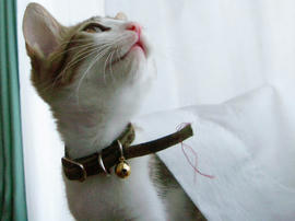 IMGP6227.jpg