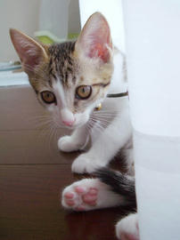 IMGP6229.jpg
