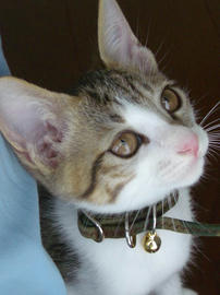 IMGP6234.jpg