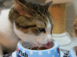 IMG03144.jpg