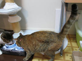 IMG03148.jpg