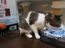 IMG03149.jpg