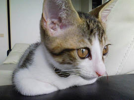 PAP_0370.jpg