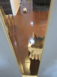 IMG03155.jpg