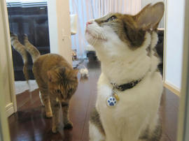 IMG03156.jpg