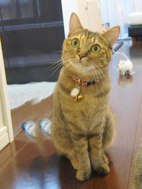 IMG03157.jpg