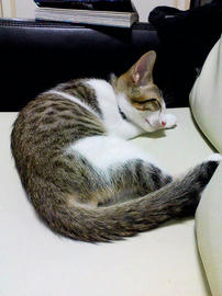PAP_0400.jpg