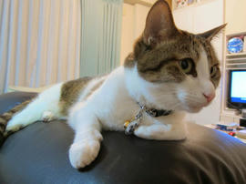 IMG03162.jpg