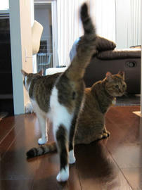 IMG03164.jpg