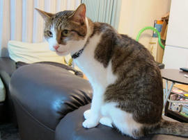 IMG03166.jpg