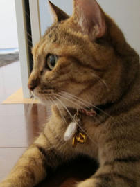 IMG03167.jpg