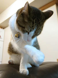 IMG03169.jpg