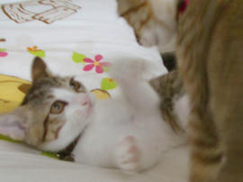 IMGP6284.jpg