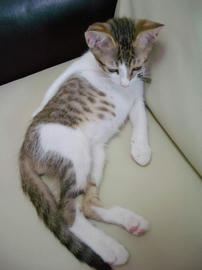 IMGP6291.jpg