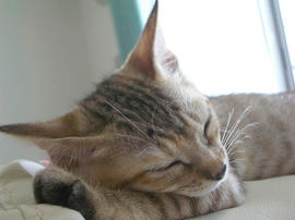 IMGP6300.jpg