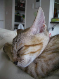 IMGP6302.jpg