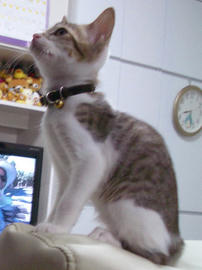 IMGP6312.jpg