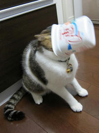 IMG03170.jpg