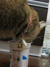 IMG03173.jpg