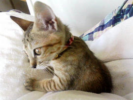 PAP_0209.jpg