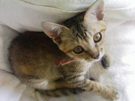 PAP_0210.jpg