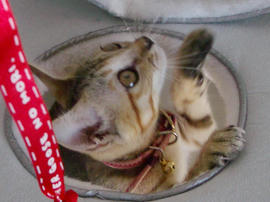 IMGP6344.jpg