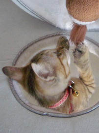IMGP6346.jpg