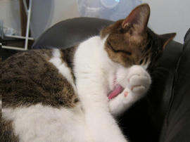 IMG03181.jpg