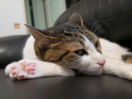 IMG03186.jpg