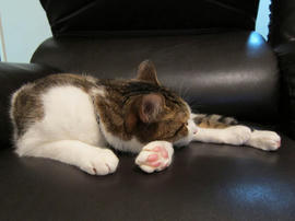 IMG03189.jpg
