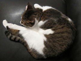 IMG03190.jpg