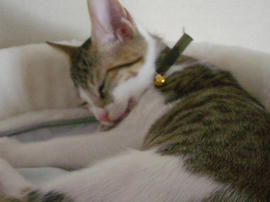 IMGP6387.jpg
