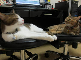 IMG03194.jpg