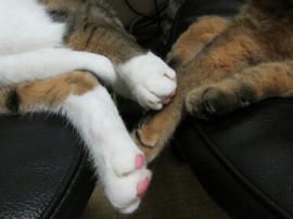 IMG03195.jpg
