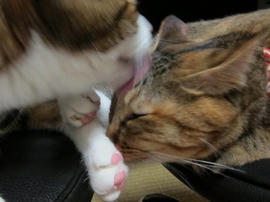 IMG03198.jpg