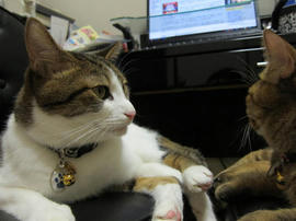 IMG03200.jpg
