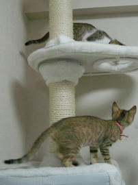 IMGP6405.jpg
