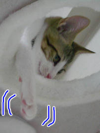 IMGP6409.jpg
