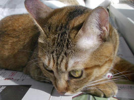 IMGP11941.jpg