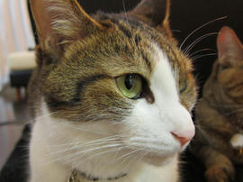 IMG03211.jpg