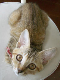 IMGP6426.jpg