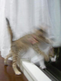 IMGP6447.jpg
