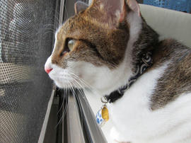 IMG003231.jpg