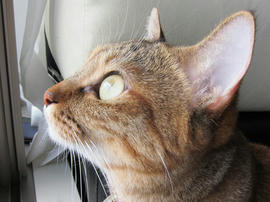 IMG003232.jpg