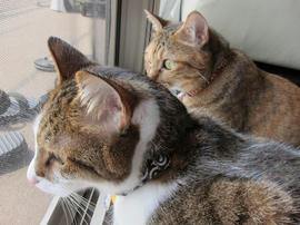 IMG003233.jpg