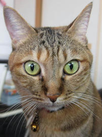 IMG003234.jpg