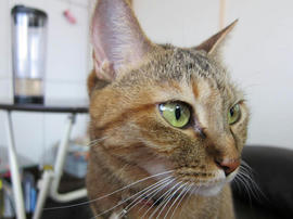 IMG003235.jpg
